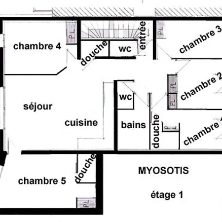 Myosotis Pour 10 Personnes *